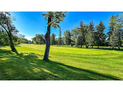 66 Willow Park Green Se, Calgary, AB - Outdoor With View