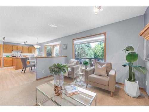 307 Schubert Place Nw, Calgary, AB - Indoor Photo Showing Living Room With Fireplace