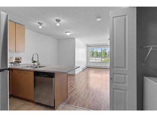 208-5115 Richard Road Sw, Calgary, AB - Indoor Photo Showing Kitchen With Double Sink