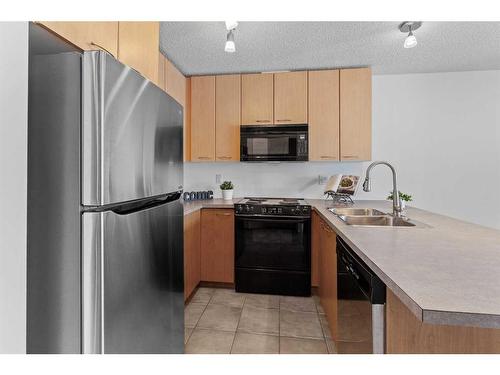 208-5115 Richard Road Sw, Calgary, AB - Indoor Photo Showing Kitchen With Double Sink