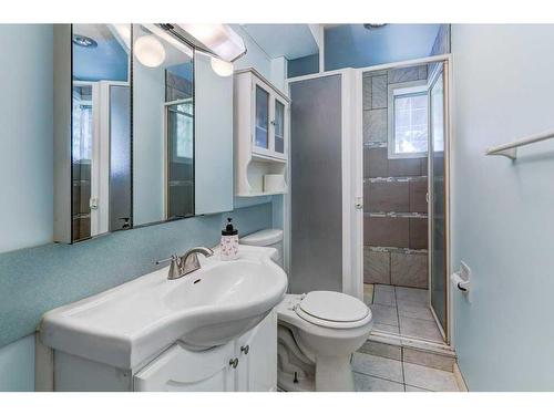 2023 Pinetree Crescent Ne, Calgary, AB - Indoor Photo Showing Bathroom