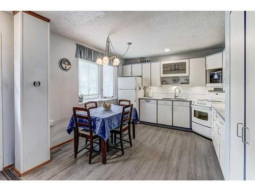2023 Pinetree Crescent Ne, Calgary, AB - Indoor Photo Showing Kitchen