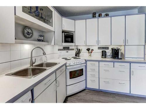 2023 Pinetree Crescent Ne, Calgary, AB - Indoor Photo Showing Kitchen With Double Sink