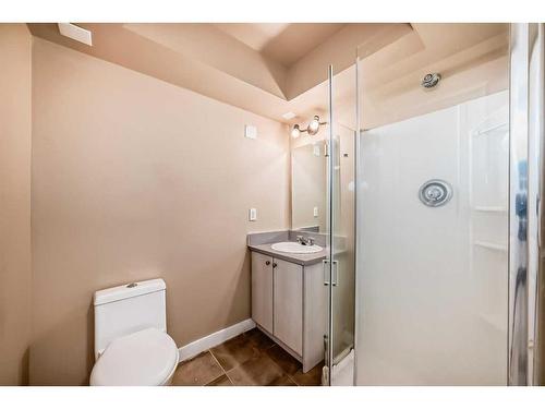156 Saddlebrook Circle Ne, Calgary, AB - Indoor Photo Showing Bathroom