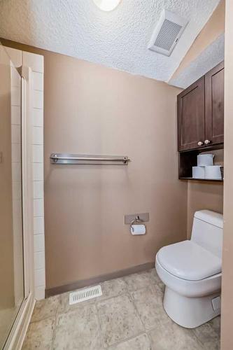 192 Brightondale Close Se, Calgary, AB - Indoor Photo Showing Bathroom