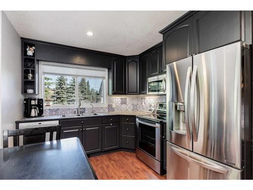 9-41124 Range Road 282, Rural Lacombe County, AB - Indoor Photo Showing Kitchen With Stainless Steel Kitchen With Double Sink