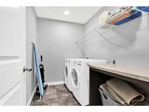 173 Savanna Passage Ne, Calgary, AB - Indoor Photo Showing Laundry Room