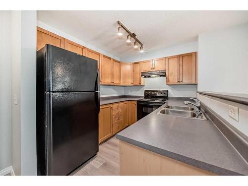 209-630 8 Avenue Se, Calgary, AB - Indoor Photo Showing Kitchen With Double Sink
