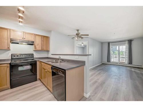 209-630 8 Avenue Se, Calgary, AB - Indoor Photo Showing Kitchen With Double Sink