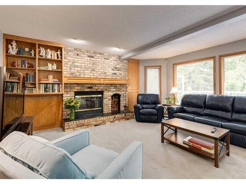 134 Scenic Park Crescent Nw, Calgary, AB - Indoor Photo Showing Living Room With Fireplace