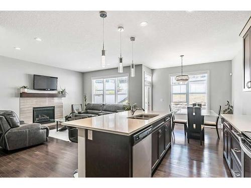 61 Nolanhurst Rise Nw, Calgary, AB - Indoor Photo Showing Kitchen With Fireplace With Double Sink With Upgraded Kitchen
