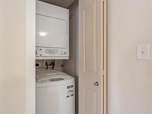 312-1053 10 Street Sw, Calgary, AB - Indoor Photo Showing Laundry Room