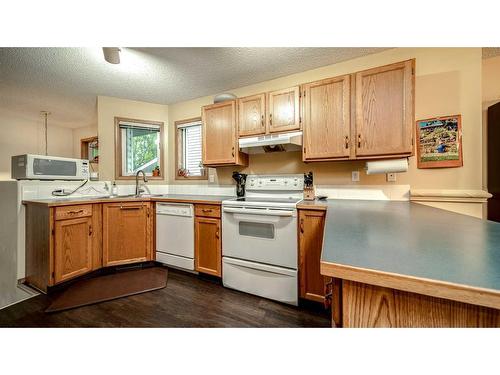 234 Covington Close Ne, Calgary, AB - Indoor Photo Showing Kitchen With Double Sink