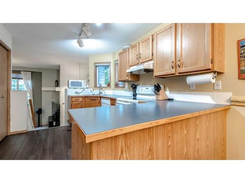 234 Covington Close Ne, Calgary, AB - Indoor Photo Showing Kitchen