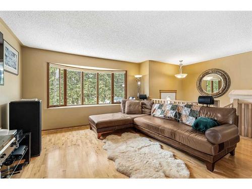 1320 56 Avenue Nw, Calgary, AB - Indoor Photo Showing Living Room