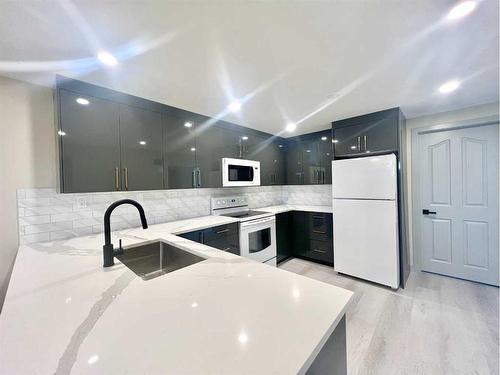 101 Forest Road Se, Calgary, AB - Indoor Photo Showing Kitchen With Upgraded Kitchen