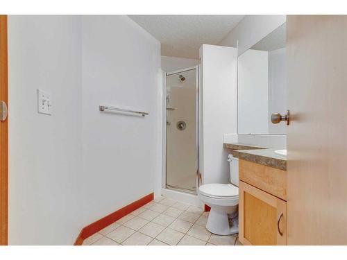 204-1235 13 Avenue Sw, Calgary, AB - Indoor Photo Showing Bathroom