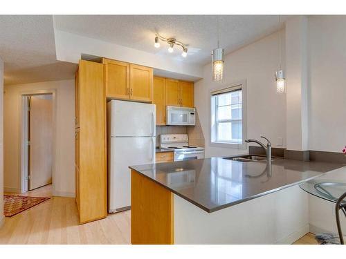 204-1235 13 Avenue Sw, Calgary, AB - Indoor Photo Showing Kitchen With Double Sink