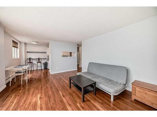 343-1435 7 Avenue Nw, Calgary, AB - Indoor Photo Showing Living Room