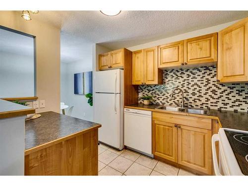 11126 26 Street Sw, Calgary, AB - Indoor Photo Showing Kitchen With Double Sink