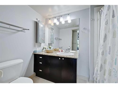 307-118 34 Street Nw, Calgary, AB - Indoor Photo Showing Bathroom
