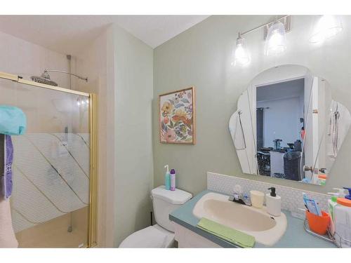 51 Scenic Acres Drive Nw, Calgary, AB - Indoor Photo Showing Bathroom