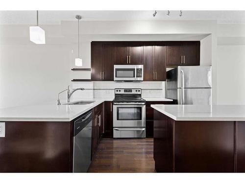 67 Redstone Circle Ne, Calgary, AB - Indoor Photo Showing Kitchen With Upgraded Kitchen