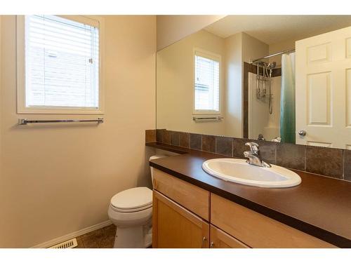 143 Copperfield Rise Se, Calgary, AB - Indoor Photo Showing Bathroom