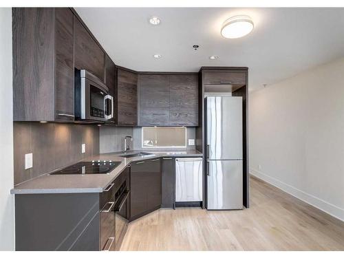 317-1087 2 Avenue Nw, Calgary, AB - Indoor Photo Showing Kitchen With Upgraded Kitchen
