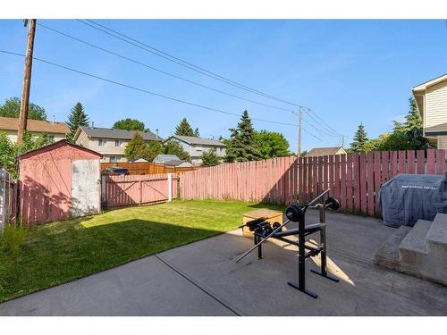 153 Castlebrook Way Ne, Calgary, AB - Outdoor With Backyard