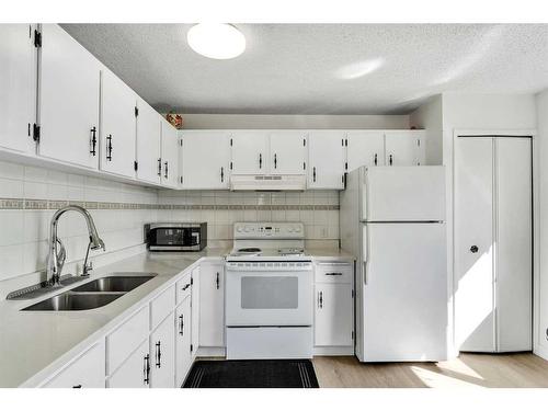 153 Castlebrook Way Ne, Calgary, AB - Indoor Photo Showing Kitchen With Double Sink