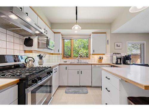 359 Silver Valley Boulevard Nw, Calgary, AB - Indoor Photo Showing Kitchen With Double Sink