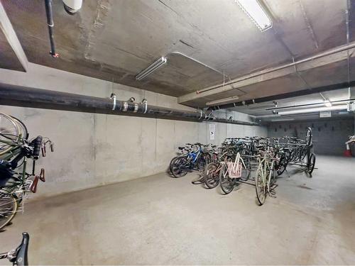 607-1010 6 Street Sw, Calgary, AB - Indoor Photo Showing Garage