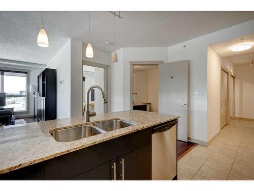 919-8710 Horton Road Sw, Calgary, AB - Indoor Photo Showing Kitchen With Double Sink