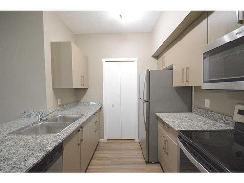 1106-4641 128 Avenue Ne, Calgary, AB - Indoor Photo Showing Kitchen With Double Sink