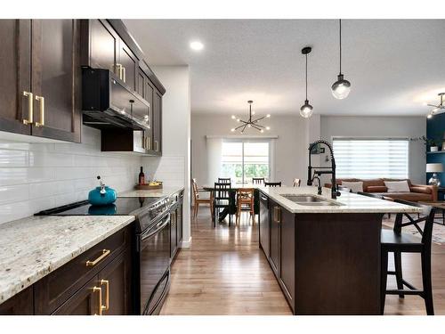 305 Carringvue Manor Nw, Calgary, AB - Indoor Photo Showing Kitchen With Double Sink With Upgraded Kitchen