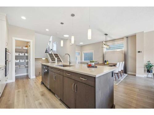 13 Cranbrook Close Se, Calgary, AB - Indoor Photo Showing Kitchen With Upgraded Kitchen