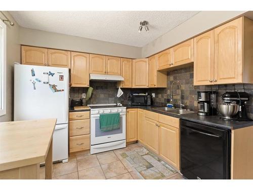 113-2300 Oakmoor Drive Sw, Calgary, AB - Indoor Photo Showing Kitchen With Double Sink