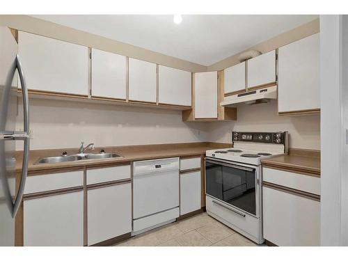 311-333 Garry Crescent Ne, Calgary, AB - Indoor Photo Showing Kitchen With Double Sink