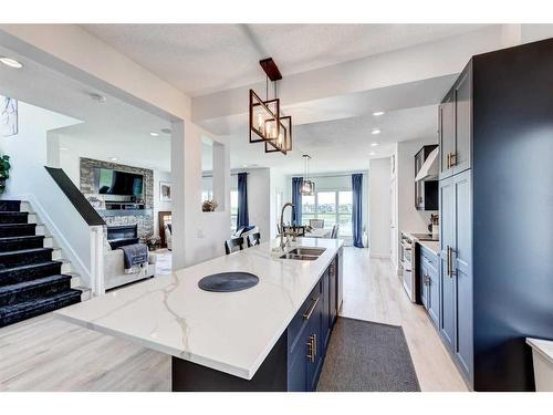 312 Copperpond Circle Se, Calgary, AB - Indoor Photo Showing Kitchen With Double Sink With Upgraded Kitchen