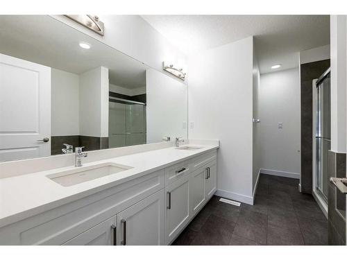 216 Sora Terrace Se, Calgary, AB - Indoor Photo Showing Bathroom