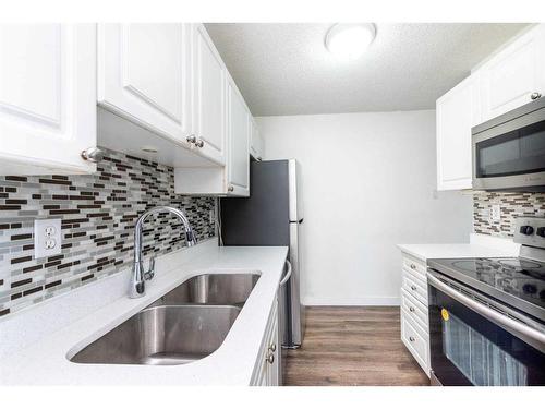 503-30 Mchugh Court Ne, Calgary, AB - Indoor Photo Showing Kitchen With Double Sink