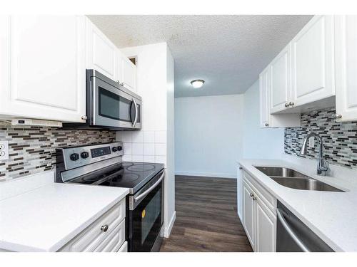 503-30 Mchugh Court Ne, Calgary, AB - Indoor Photo Showing Kitchen With Double Sink With Upgraded Kitchen