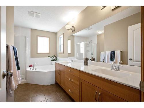 438 Silverado Boulevard Sw, Calgary, AB - Indoor Photo Showing Bathroom