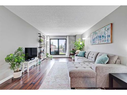 4216-13045 6 Street Sw, Calgary, AB - Indoor Photo Showing Living Room