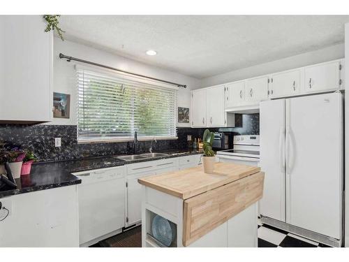 6315 Dalton Drive Nw, Calgary, AB - Indoor Photo Showing Kitchen With Double Sink