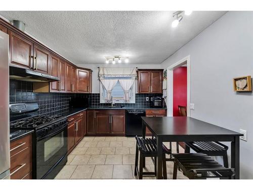 3303 42 Street Ne, Calgary, AB - Indoor Photo Showing Kitchen With Double Sink