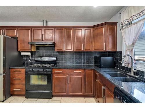 3303 42 Street Ne, Calgary, AB - Indoor Photo Showing Kitchen With Double Sink
