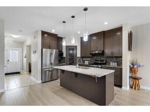 433 Redstone Grove Ne, Calgary, AB - Indoor Photo Showing Kitchen With Stainless Steel Kitchen With Upgraded Kitchen