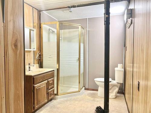220 Marlborough Way Ne, Calgary, AB - Indoor Photo Showing Bathroom